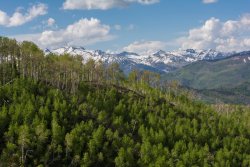 Horse Pasture Friday 6-20190188.jpg