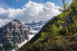 Horse Pasture Friday 6-20190202.jpg