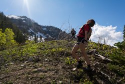 Horse Pasture Friday 6-20190223.jpg