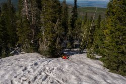 Horse Pasture Friday 6-20190238.jpg