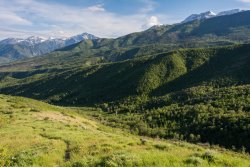 Horse Pasture Friday 6-20190302.jpg