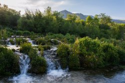 Horse Pasture Friday 6-20190340.jpg