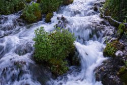 Horse Pasture Friday 6-20190393.jpg