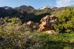 Mill B Meta 6-20190053.jpg