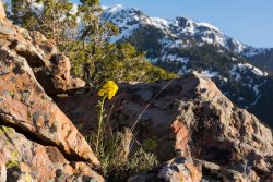 Mill B Meta 6-20190107.jpg