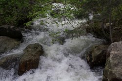 Thunderous Blanche 6-20190006.jpg