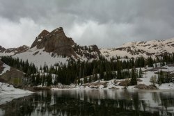 Thunderous Blanche 6-20190041.jpg