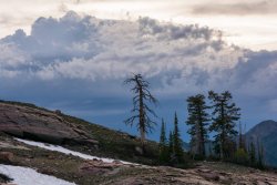 Blanche Again 6-17-20190105.jpg