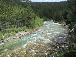 White River National Forest - Chinese Wall #1803