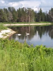 20190628_180932.jpg 20190628_180932.jpg