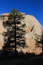 IMG_3536.jpg IMG_3536.jpg