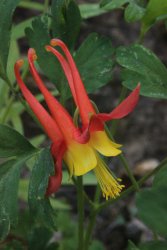 IMG_3546.jpg IMG_3546.jpg