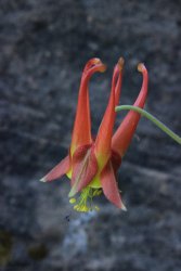 IMG_3543.jpg IMG_3543.jpg