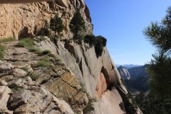 IMG_3551.jpg IMG_3551.jpg