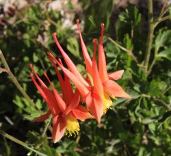 IMG_3554.jpg IMG_3554.jpg