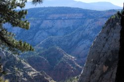 IMG_3555.jpg IMG_3555.jpg