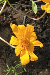 IMG_3559.jpg IMG_3559.jpg