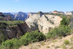 IMG_3563.jpg IMG_3563.jpg