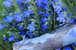 IMG_3565.jpg IMG_3565.jpg