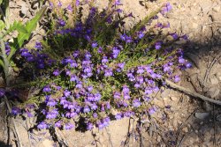 IMG_3569.jpg IMG_3569.jpg