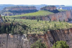 IMG_3568.jpg IMG_3568.jpg