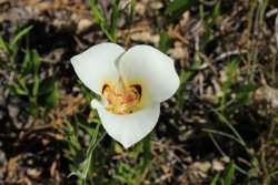 IMG_3576.jpg IMG_3576.jpg