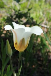 IMG_3578.jpg IMG_3578.jpg