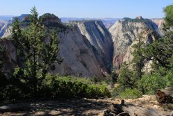 IMG_3580.jpg IMG_3580.jpg