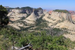 IMG_3591.jpg IMG_3591.jpg