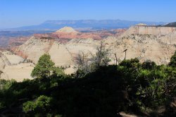 IMG_3590.jpg IMG_3590.jpg