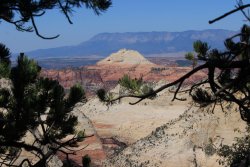 IMG_3594.jpg IMG_3594.jpg