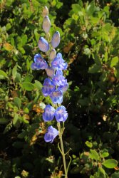 IMG_3582.jpg IMG_3582.jpg