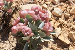 IMG_3596.jpg IMG_3596.jpg