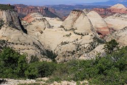 IMG_3595.jpg IMG_3595.jpg