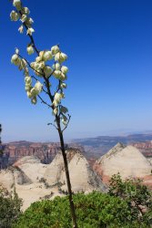 IMG_3599.jpg IMG_3599.jpg