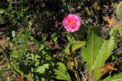 IMG_3608.jpg IMG_3608.jpg