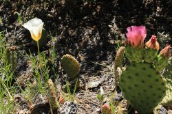 IMG_3613.jpg IMG_3613.jpg