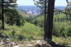 IMG_3616.jpg IMG_3616.jpg