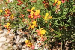 IMG_3621.jpg IMG_3621.jpg