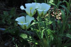 IMG_3624.jpg IMG_3624.jpg