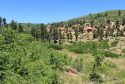 IMG_3636.jpg IMG_3636.jpg