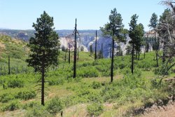 IMG_3638.jpg IMG_3638.jpg