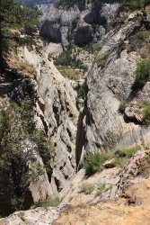 IMG_3640.jpg IMG_3640.jpg