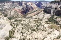 IMG_3645.jpg IMG_3645.jpg