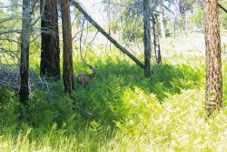 IMG_3653.jpg IMG_3653.jpg