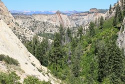 IMG_3657.jpg IMG_3657.jpg