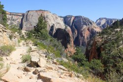 IMG_3663.jpg IMG_3663.jpg