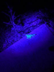 IMG_20190710_223050.jpg IMG_20190710_223050.jpg