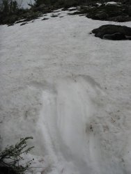 79632 79632