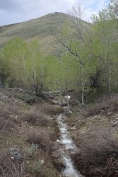 79637 79637